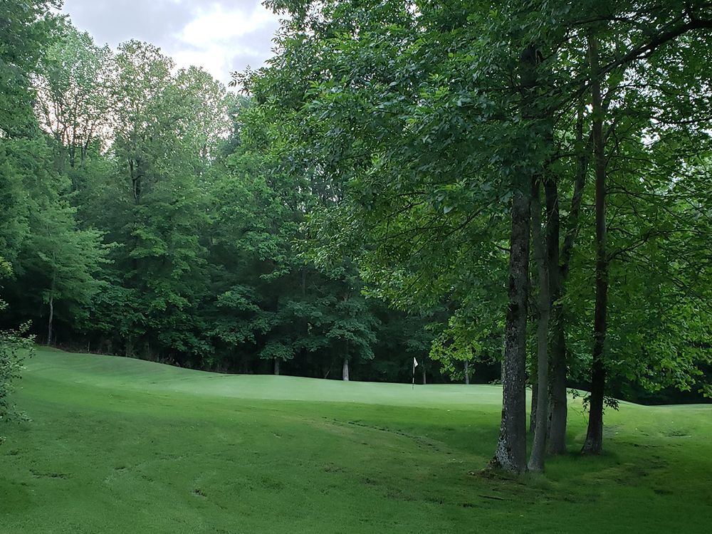 Hole on golf course fairway